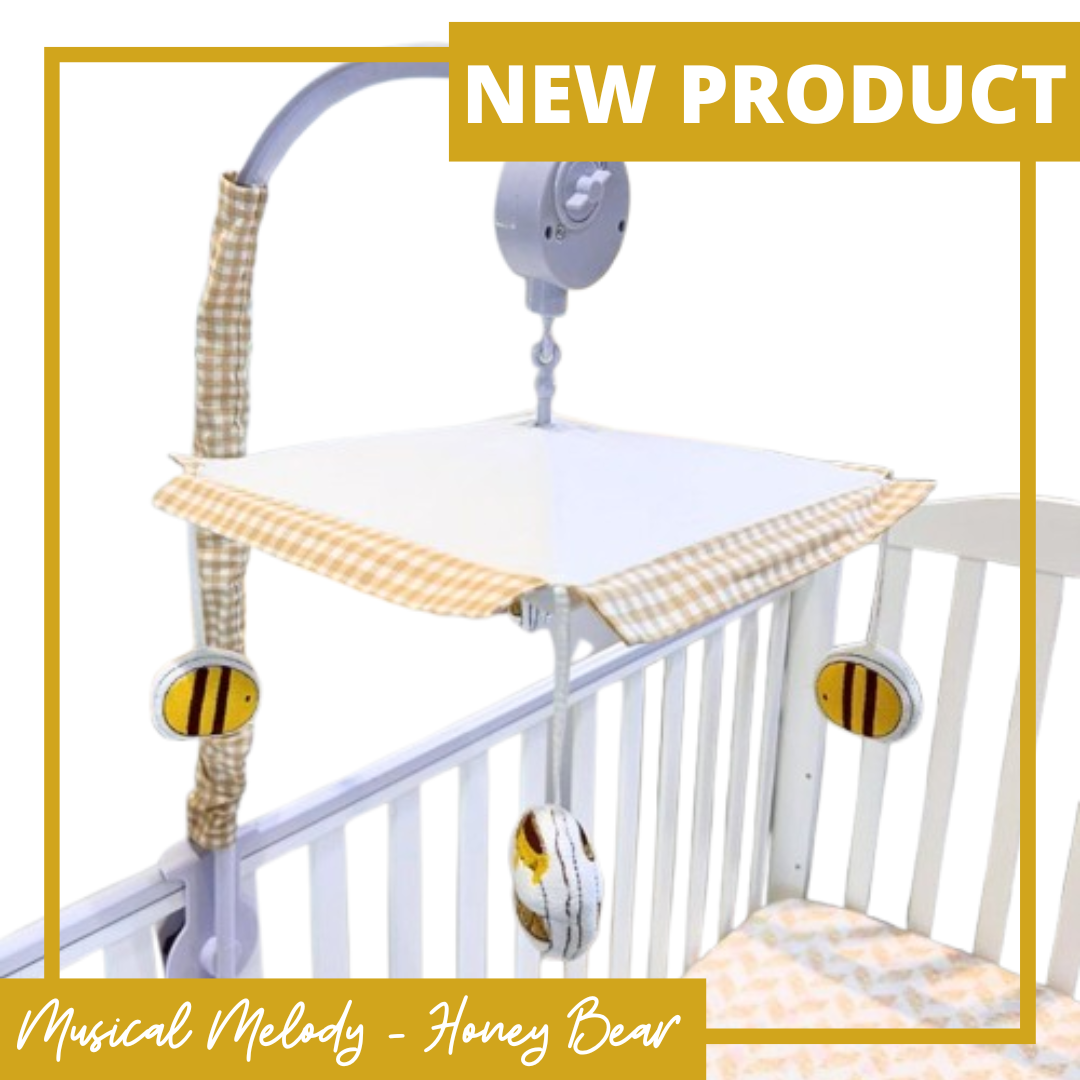 Palette Box Musical Melody